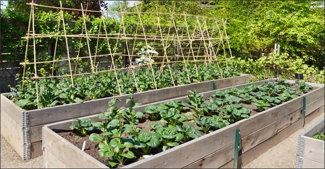 potager garden - Deep Root Aeration Tubes | Rootwell