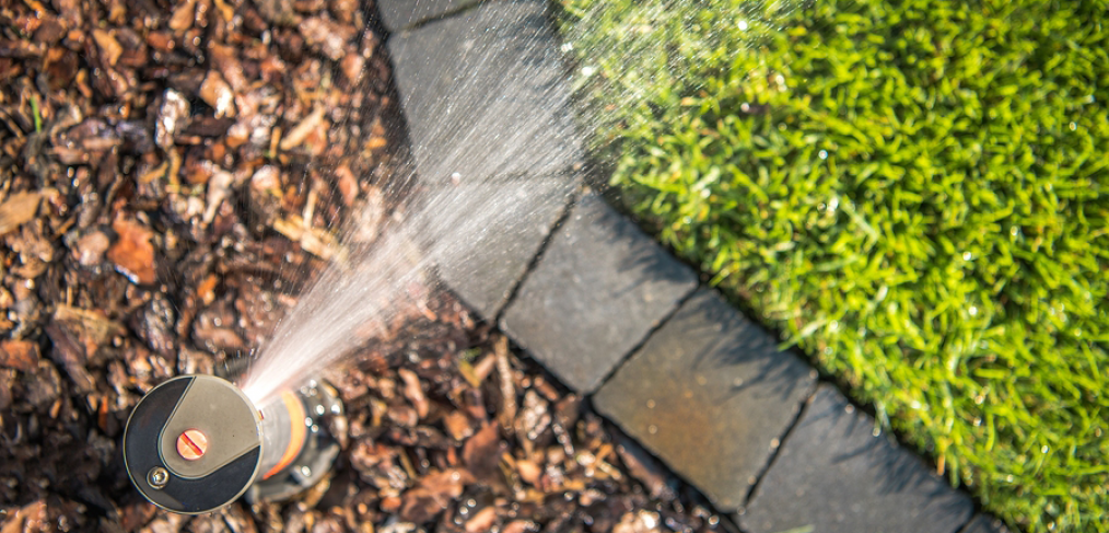 Sprinkler system, mulchHow to save money watering your lawn and trees