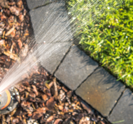Sprinkler system, mulchHow to save money watering your lawn and trees