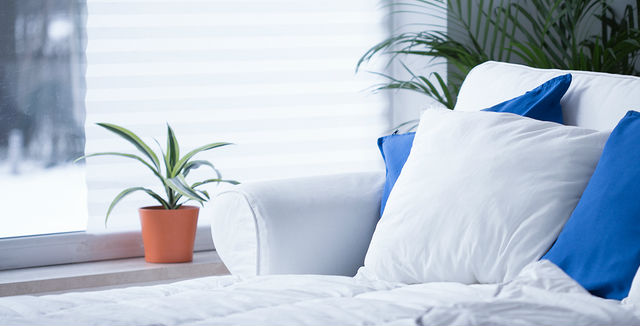 Quality sleep with houseplants