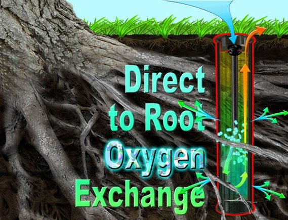 Direct to root oxygen exchange