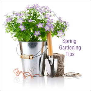 Spring into Action and Get Ready For Your Spring Garden