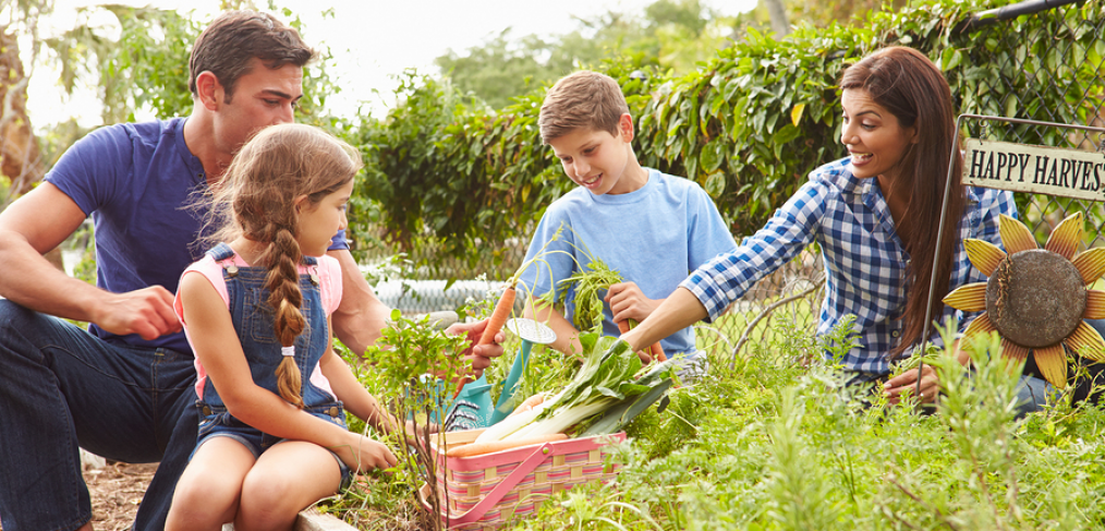 Parents teaching kids gardening