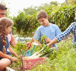 Parents teaching kids gardening