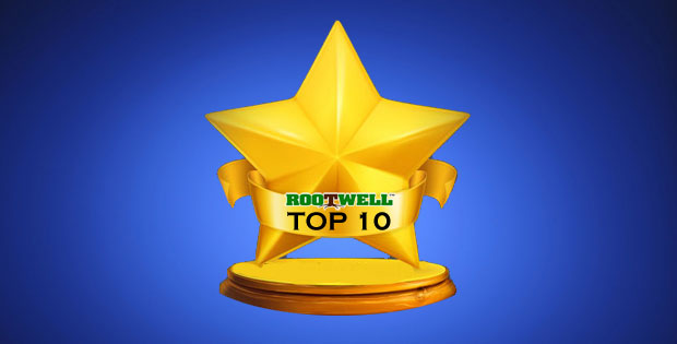 top 10 gardening tips 2015 - Deep Root Aeration Tubes | Rootwell Top 10 Gardening Tips 2015