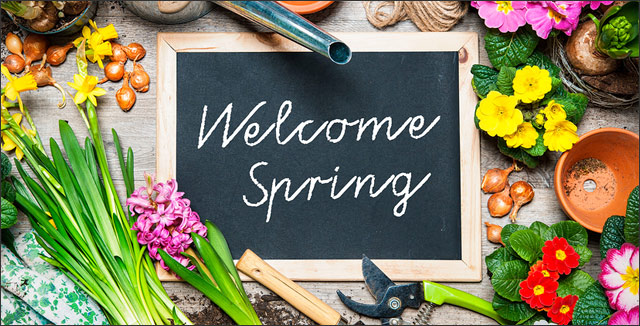 5 Tips and Tricks for Your Spring Garden