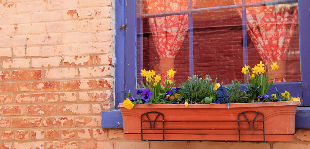 Window box with flowers