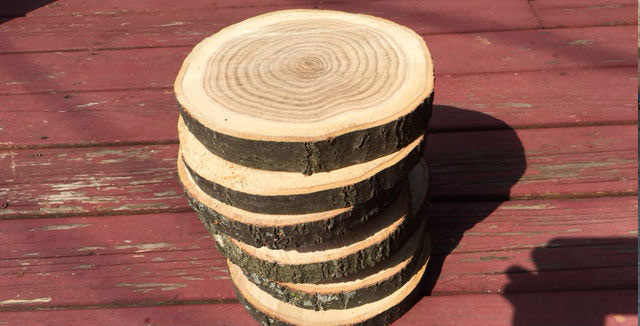 Wood slices