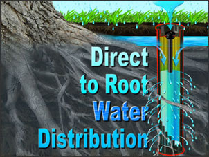 Rootwell direct to root water distribution Rootwell direct to root water distribution